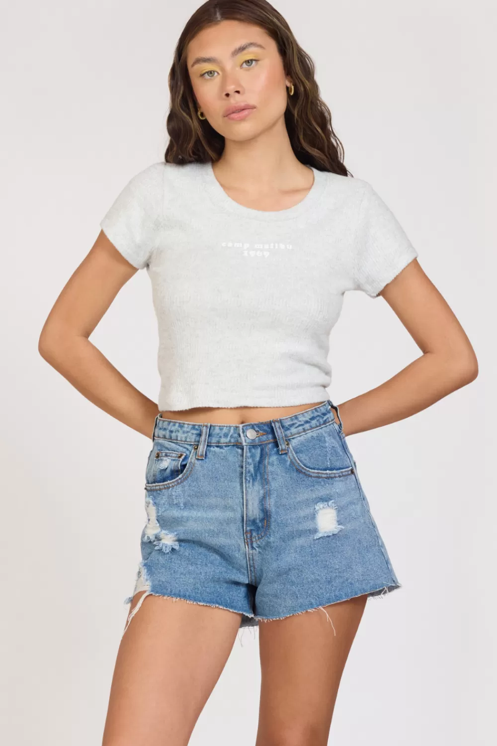Vintage Havana Camp Malibu Harbor Grey Rib Hacci Cropped Tee