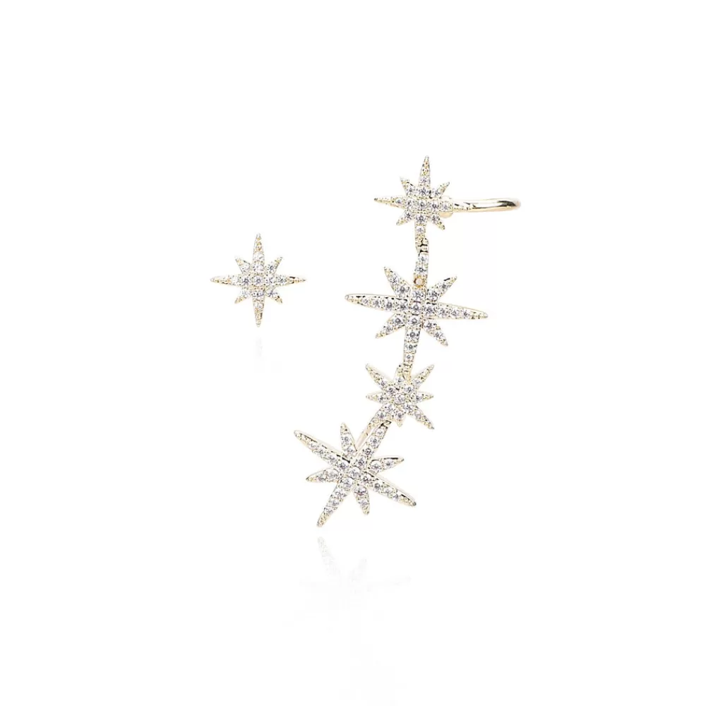 Vintage Havana DAISY Earrings