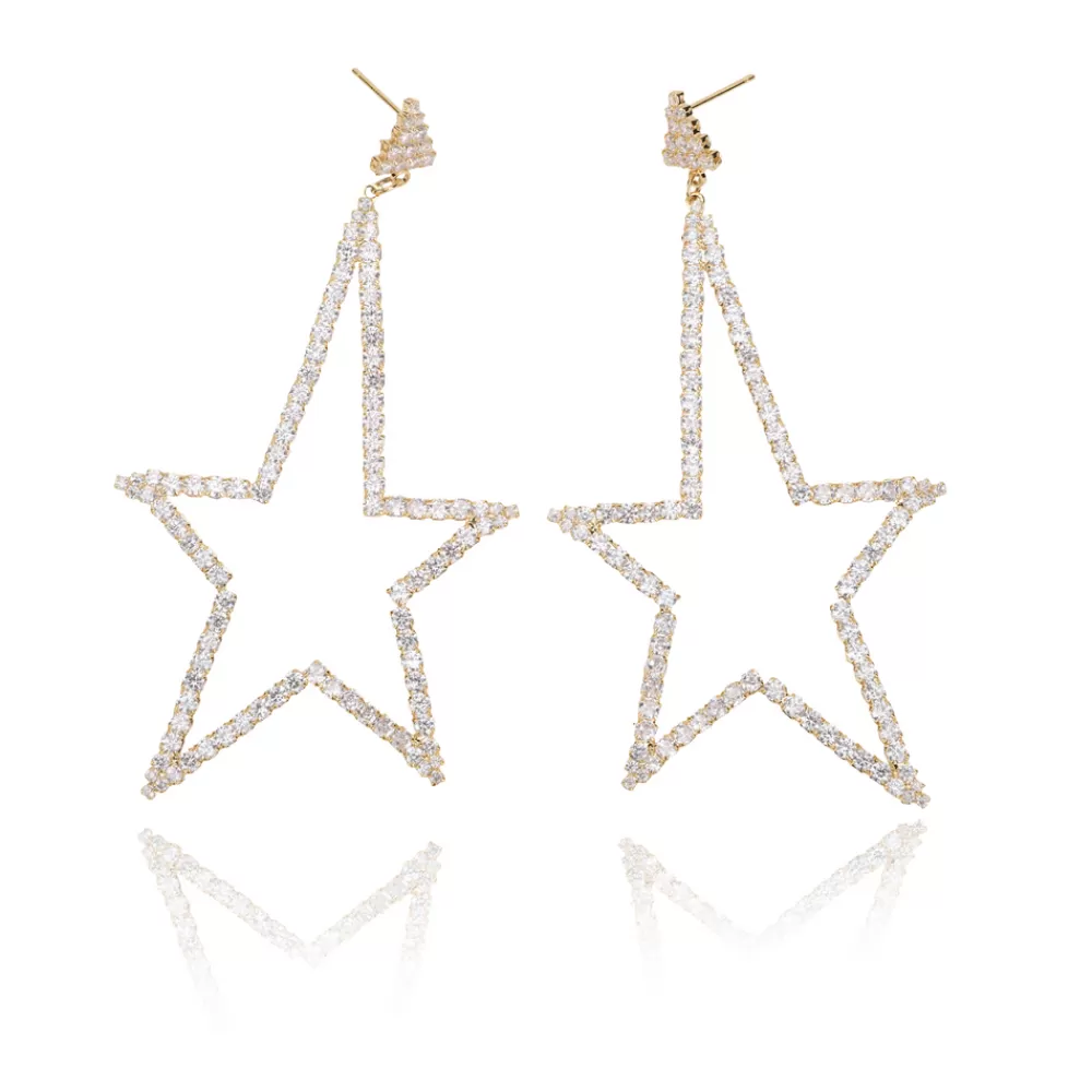 Vintage Havana KIMBERLY EARRINGS