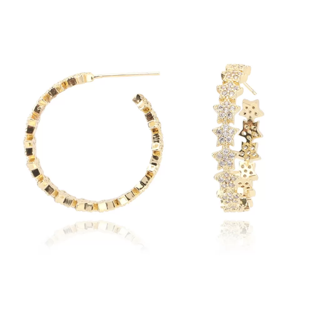 Vintage Havana PARIS EARRINGS